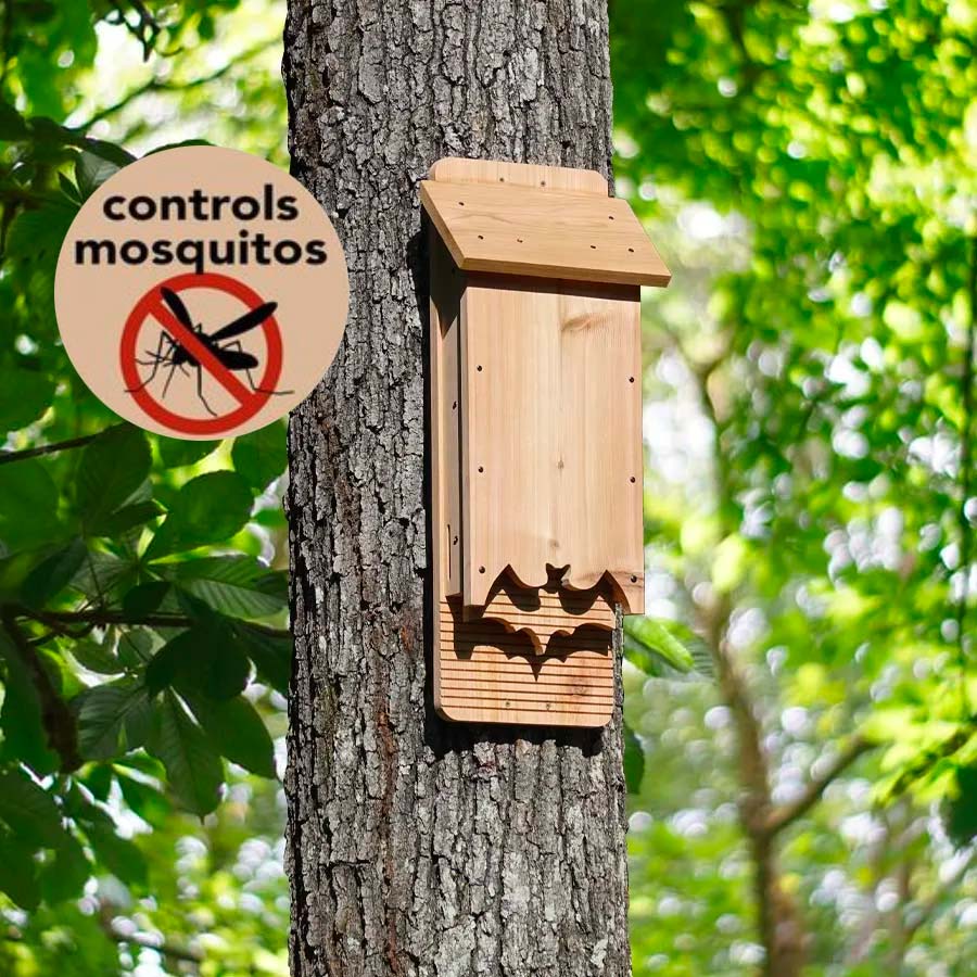 Bat Box CNC Plans, Downloadable and Customizable Questions & Answers